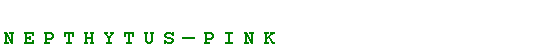 Text Box: NepthytusPink